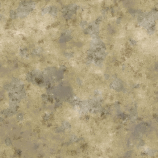 Diffuse Map