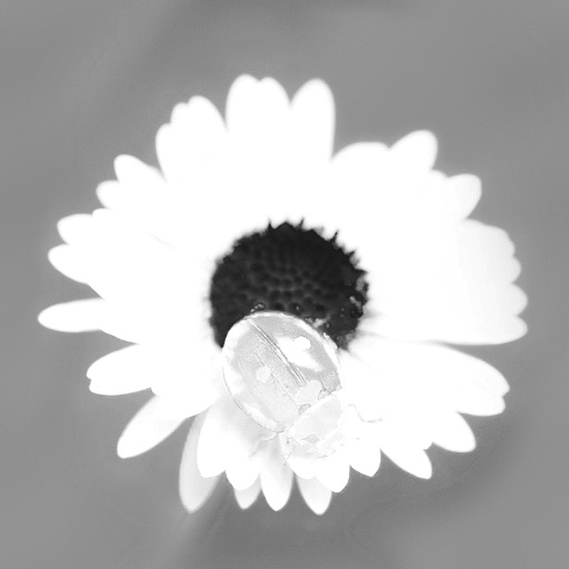 Variation 2