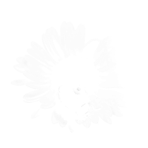 Variation 3