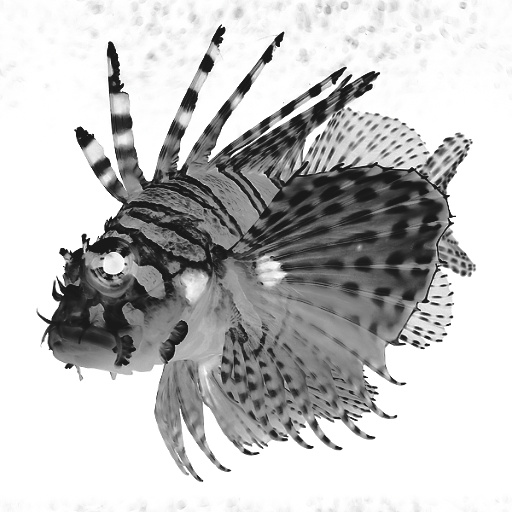 Variation 8