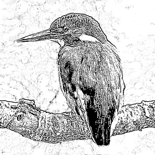 Variation 1