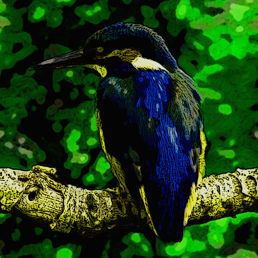 Variation 4