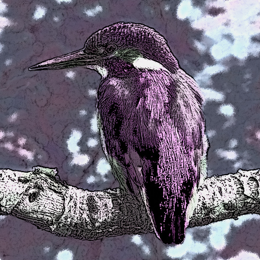 Variation 5