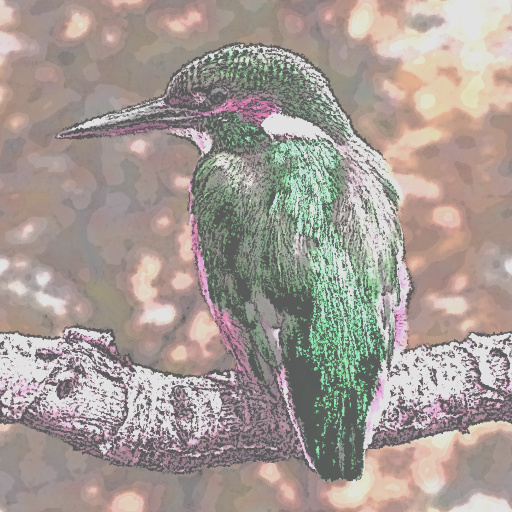 Variation 7