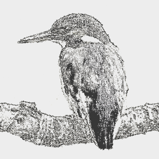 Variation 8
