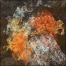 Expression Square 2