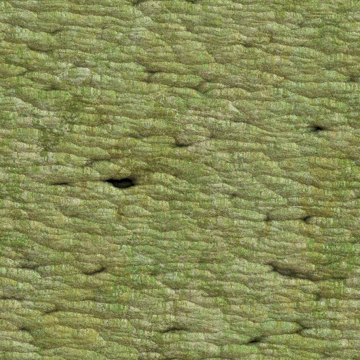 Variation 5