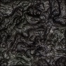 Bio Sludge