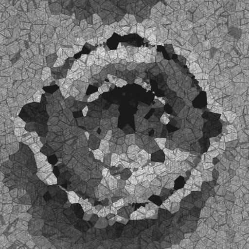 Variation 2
