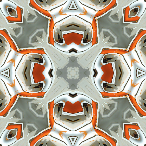 Variation 4