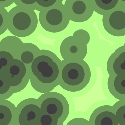 Variation 8