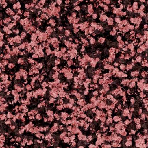 Variation 5