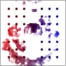 Niru Colors