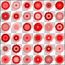 Janeway's Dotty Dots (3 layers)