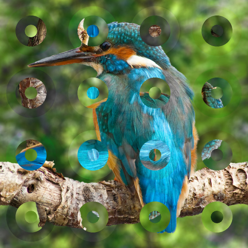 Variation 5