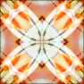 Janeway's Kaleido