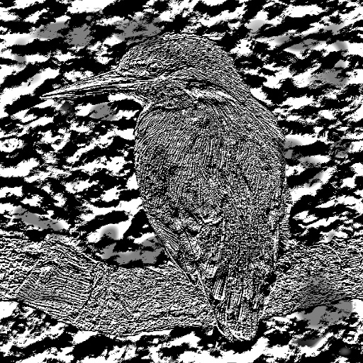 Variation 7