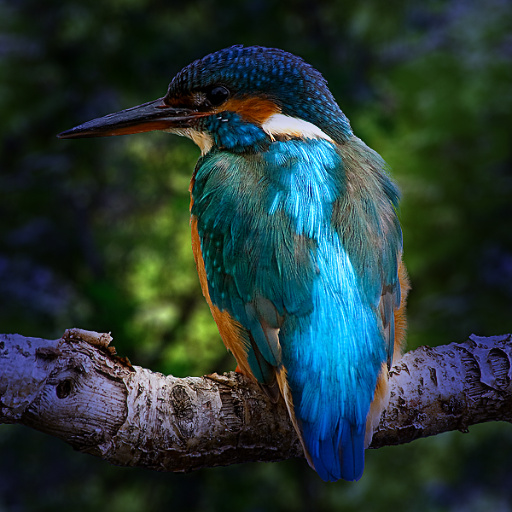Variation 3