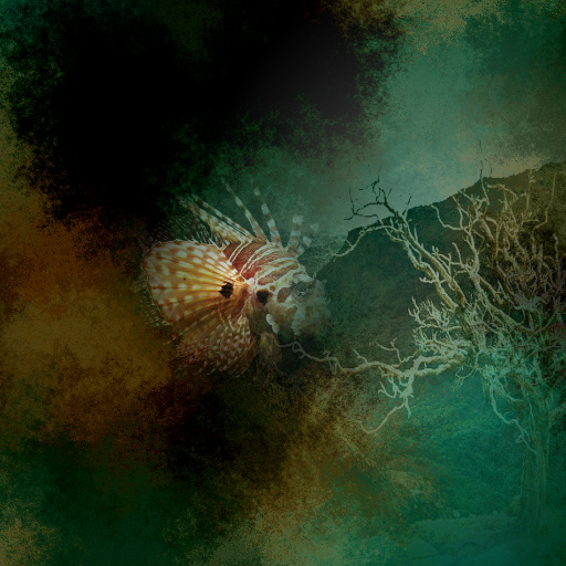 Variation 4