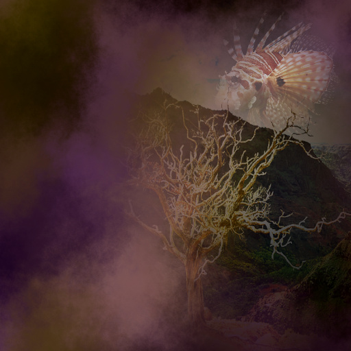 Variation 5