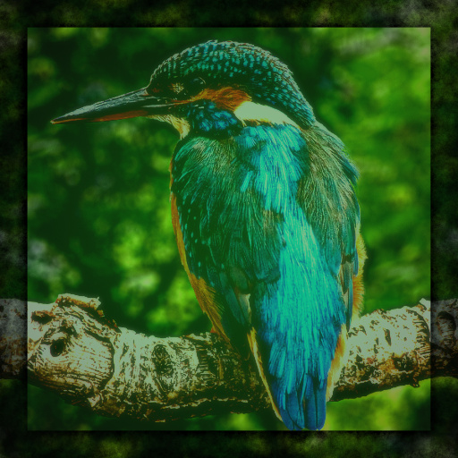 Variation 5