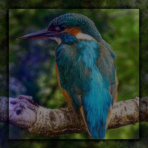 Variation 7