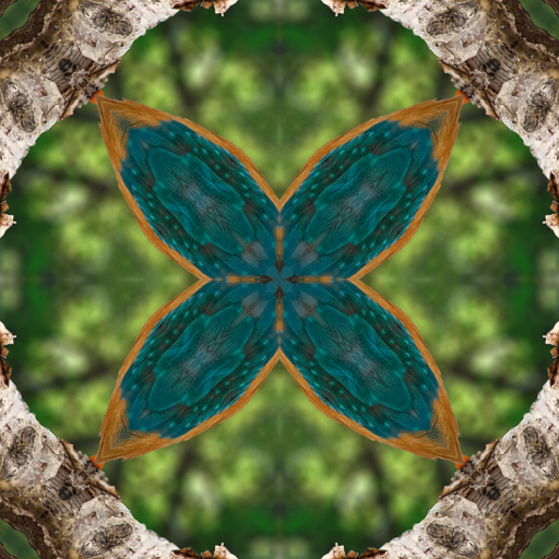 Variation 5