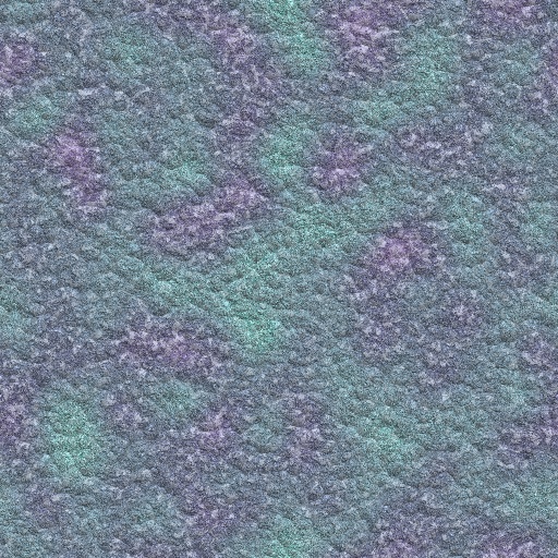 Variation 7
