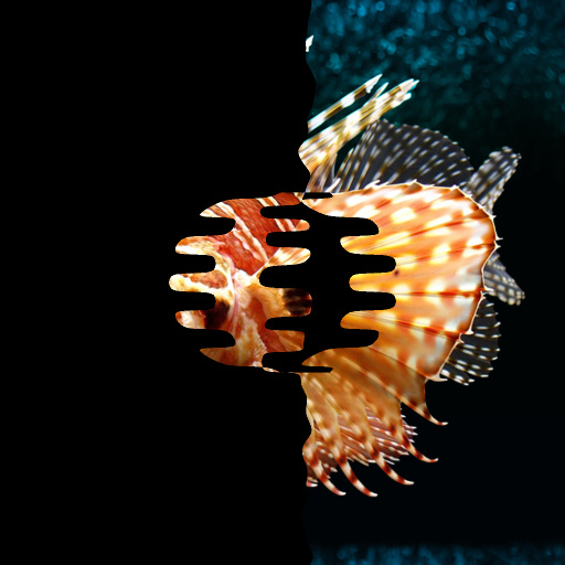 Variation 6
