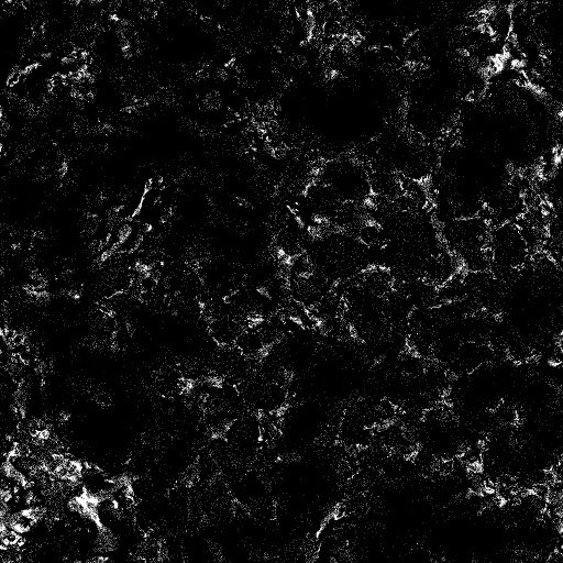 Reflective Occlusion Map