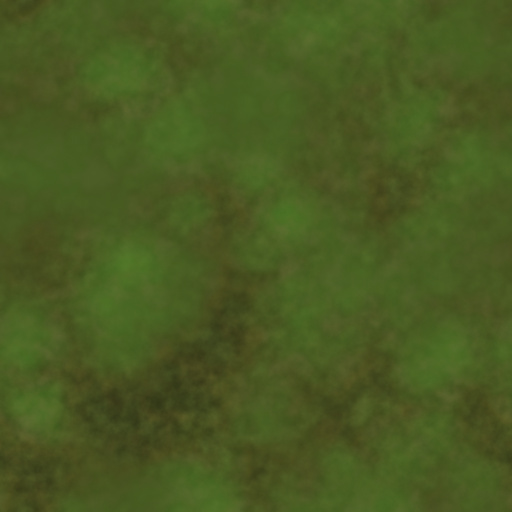 Diffuse Map