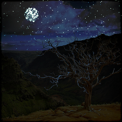 Variation 7