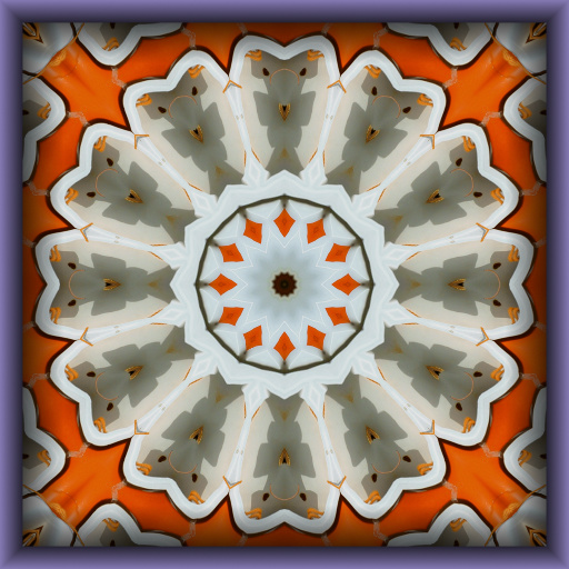 Variation 6