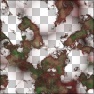 organic_disease