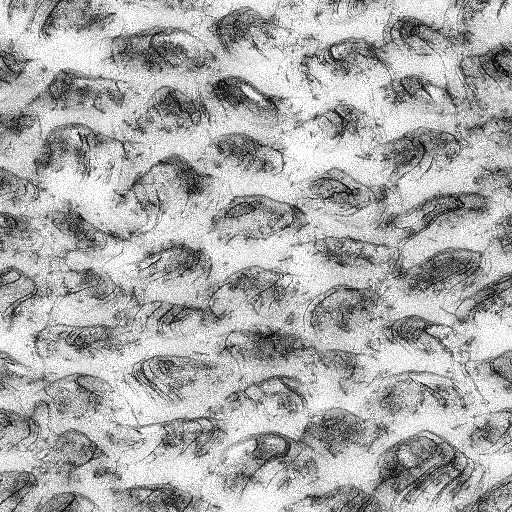 Ambient Occlusion Map