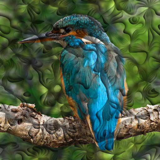 Variation 5