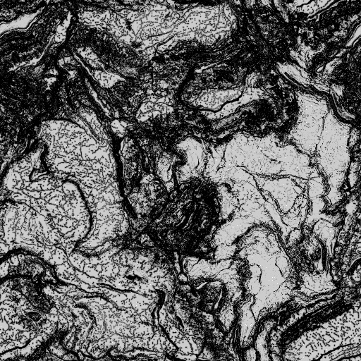Reflective Occlusion Map