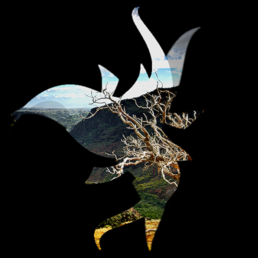 Variation 4
