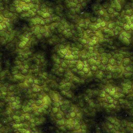 Variation 1
