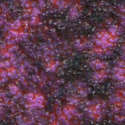Variation 2