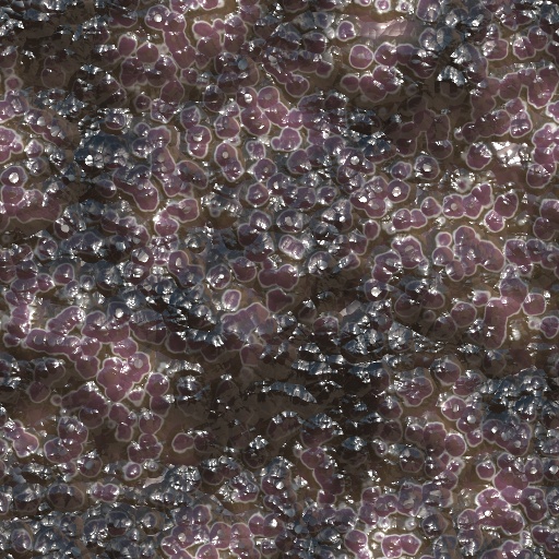 Variation 4