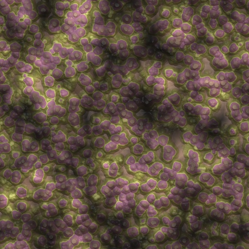 Variation 6