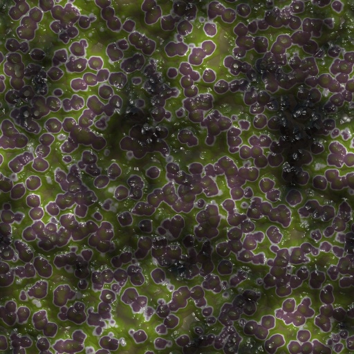Variation 7