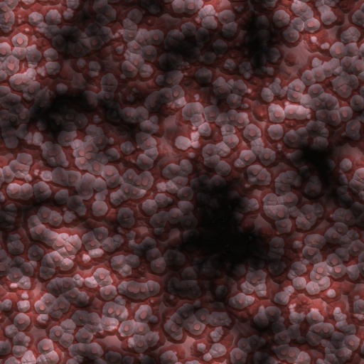 Variation 8