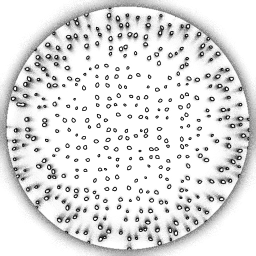 Reflective Occlusion Map