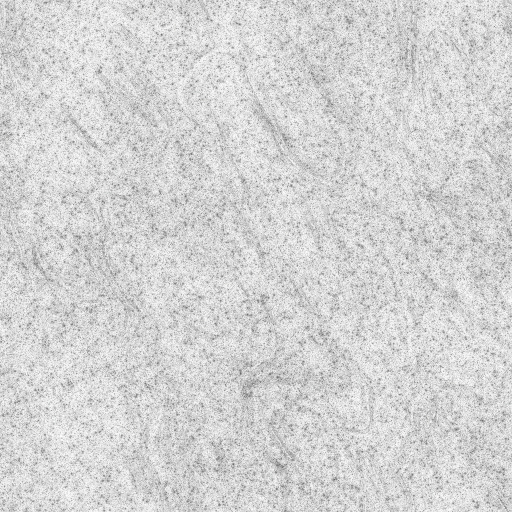 Ambient Occlusion Map