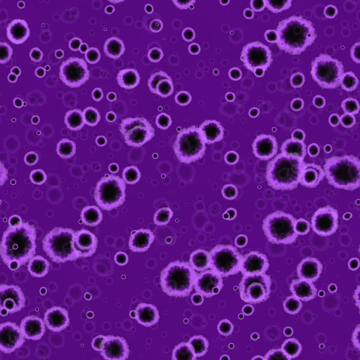 Variation 1