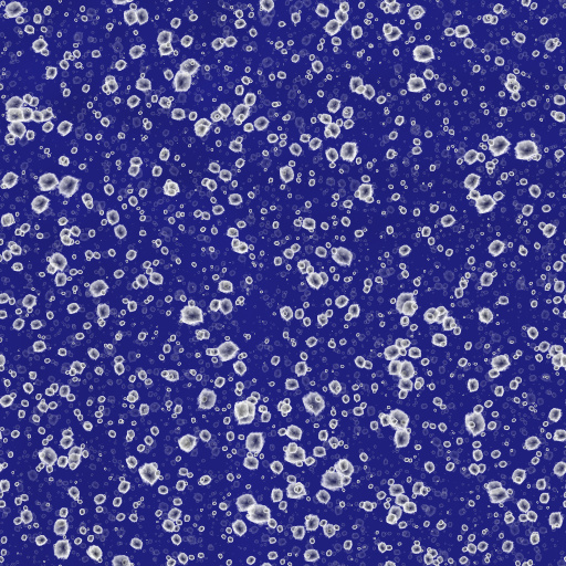 Variation 4
