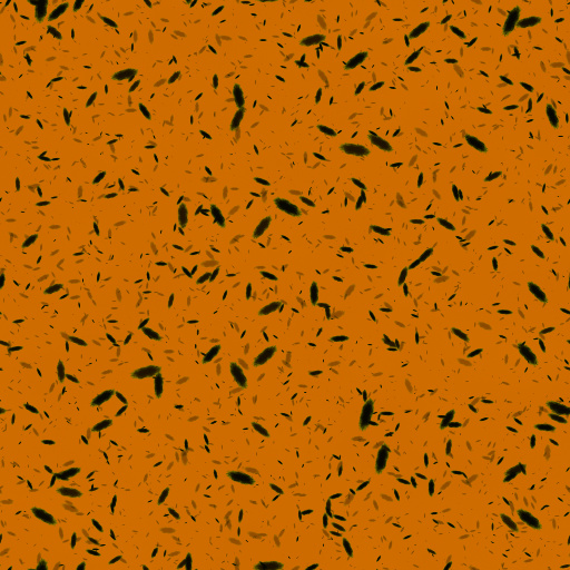 Variation 5