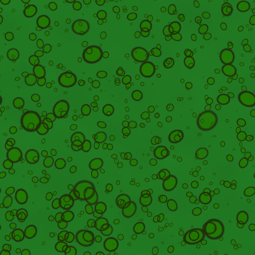 Variation 6